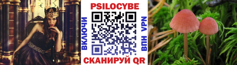 как найти закладки  Кувшиново  Галлюциногенные грибы MAGIC MUSHROOMS 